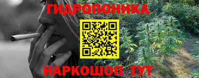 сатива Конаково