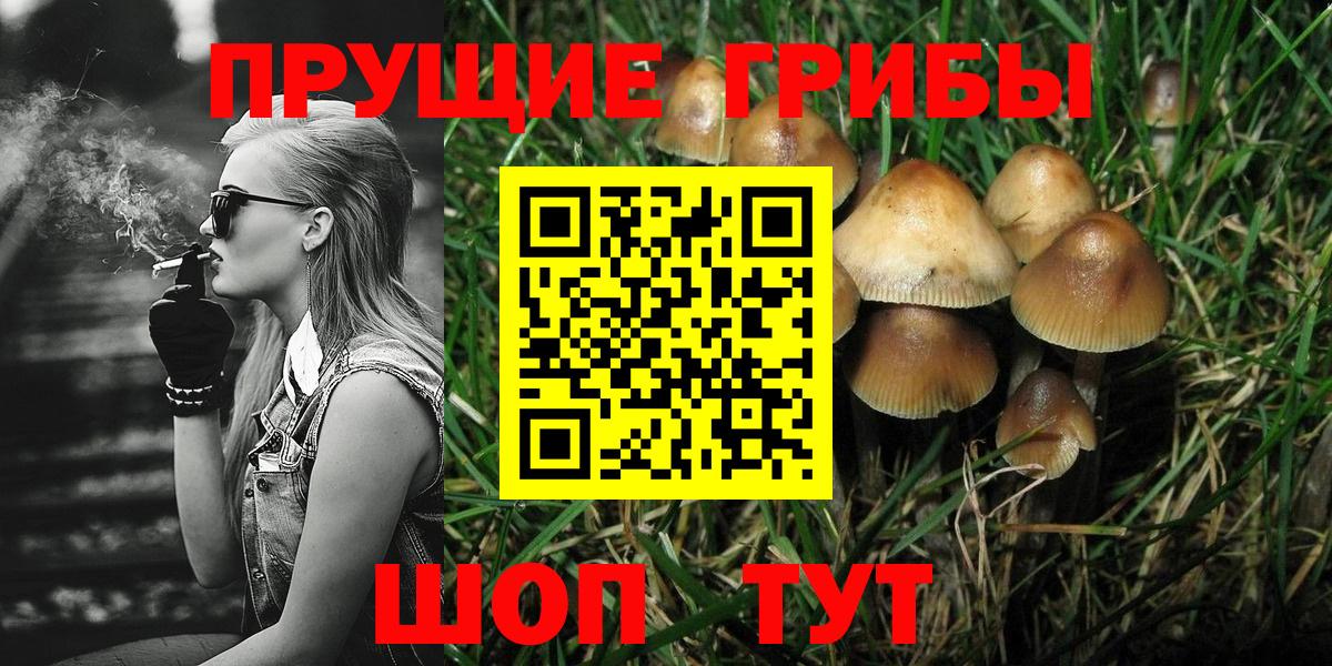 Псилоцибиновые грибы GOLDEN TEACHER Камышлов