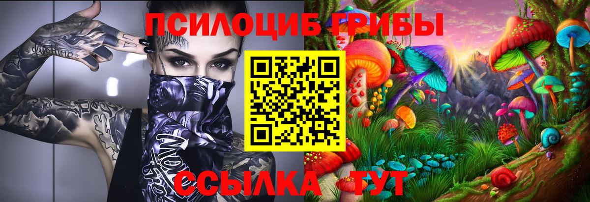 Камышлов  Галлюциногенные грибы Magic Shrooms  Псилоцибиновые грибы Magic Shrooms  Вход с VPN 