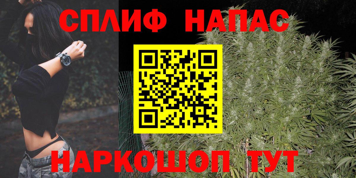 Бошки Шишки конопля  Марихуана White Widow  Каннабис THC 21%  Камышлов  МАРИХУАНА SATIVA & INDICA  Вход с VPN 